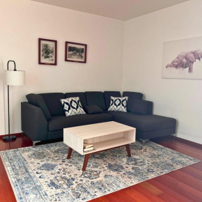 Condesa Residence Amsterdam D Sunny 2Bed 1Bath Apt in Condesa